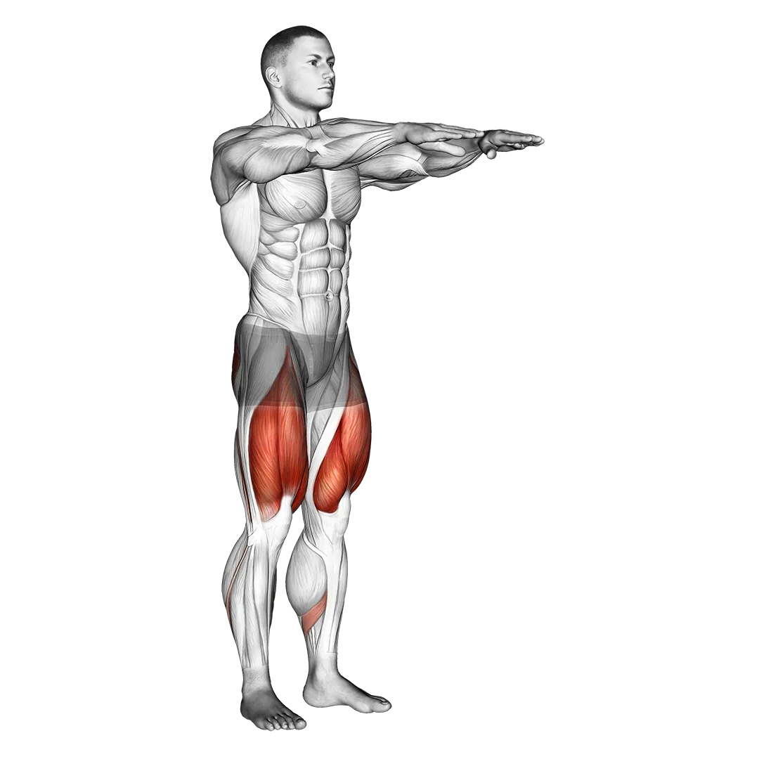 Air squat demonstration