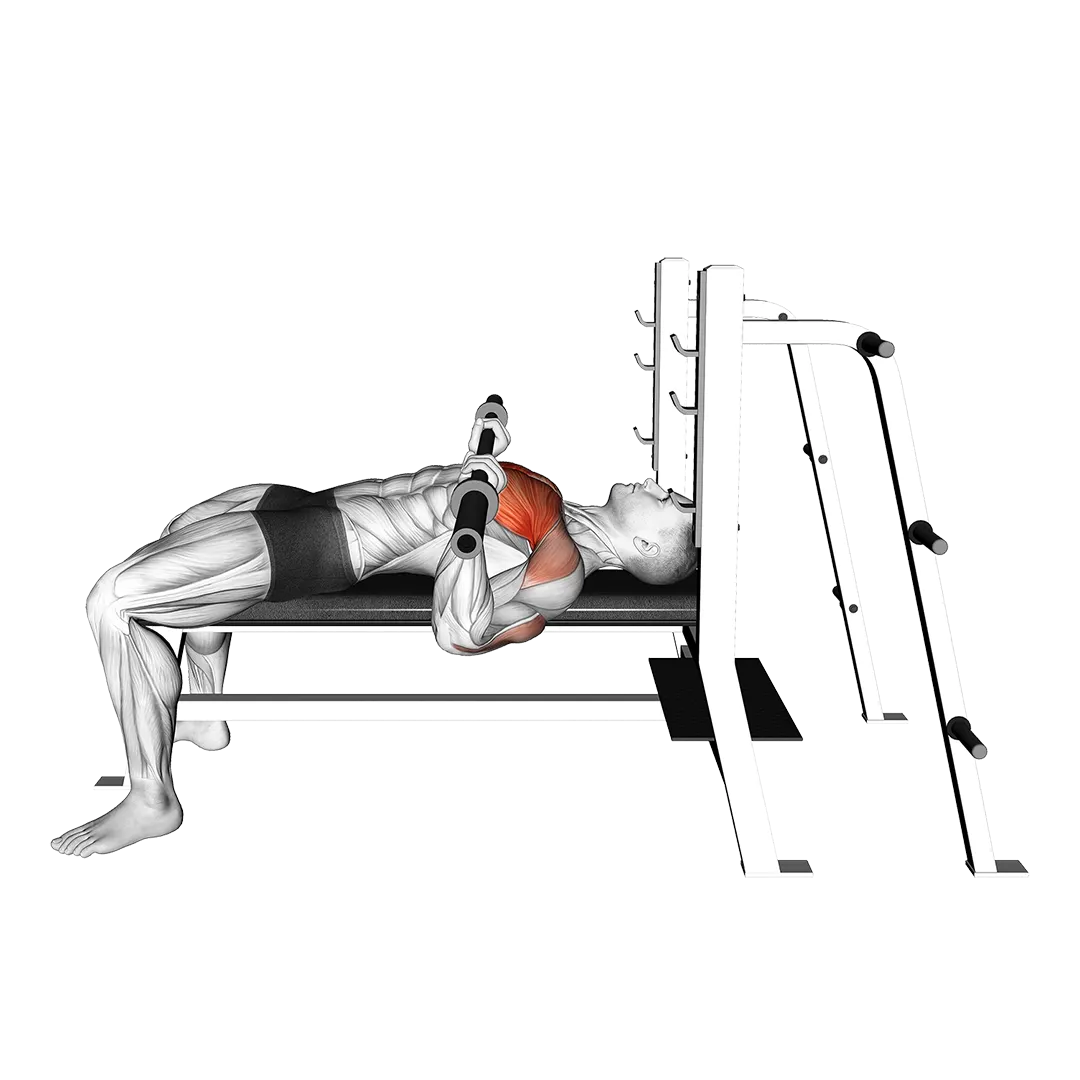Barbell bench press demonstration