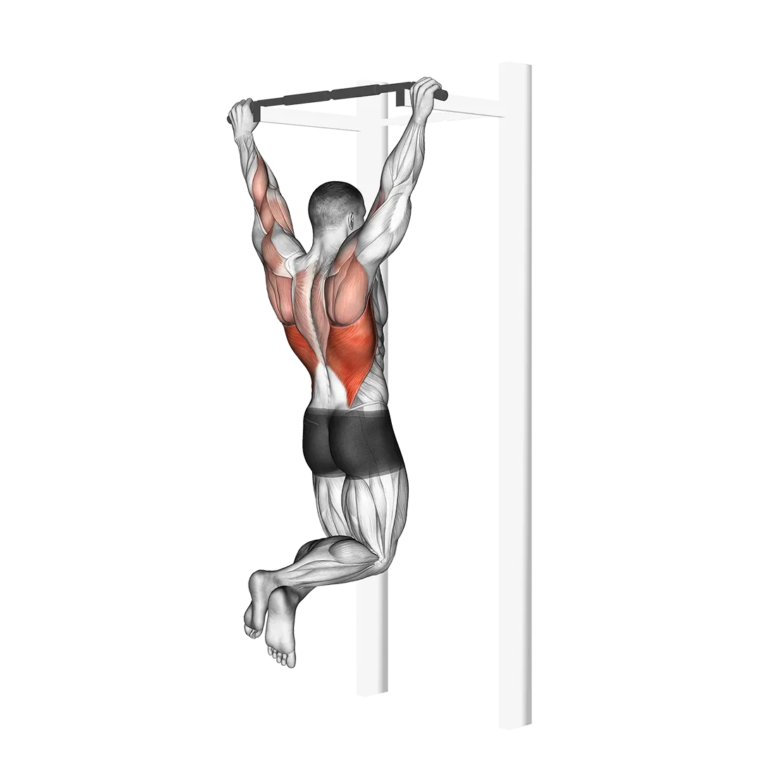 Pull-up demonstration — working the back and biceps